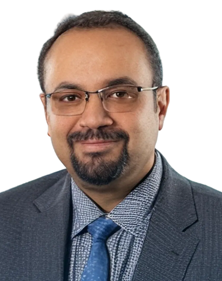 Mr. Malek Sultan